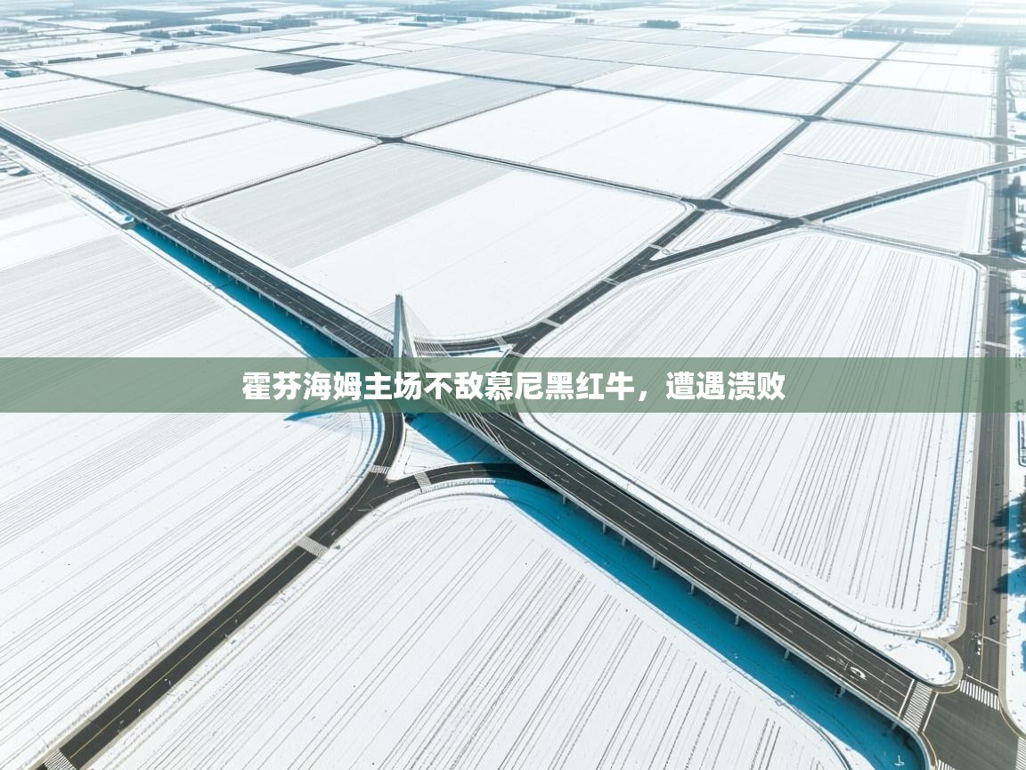 霍芬海姆主场不敌慕尼黑红牛，遭遇溃败