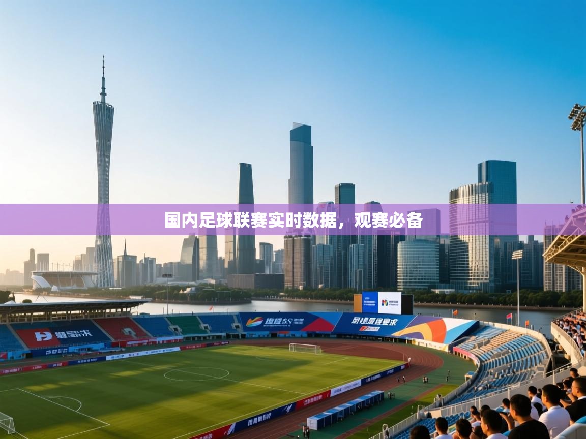 国内足球联赛实时数据,观赛必备 第2张