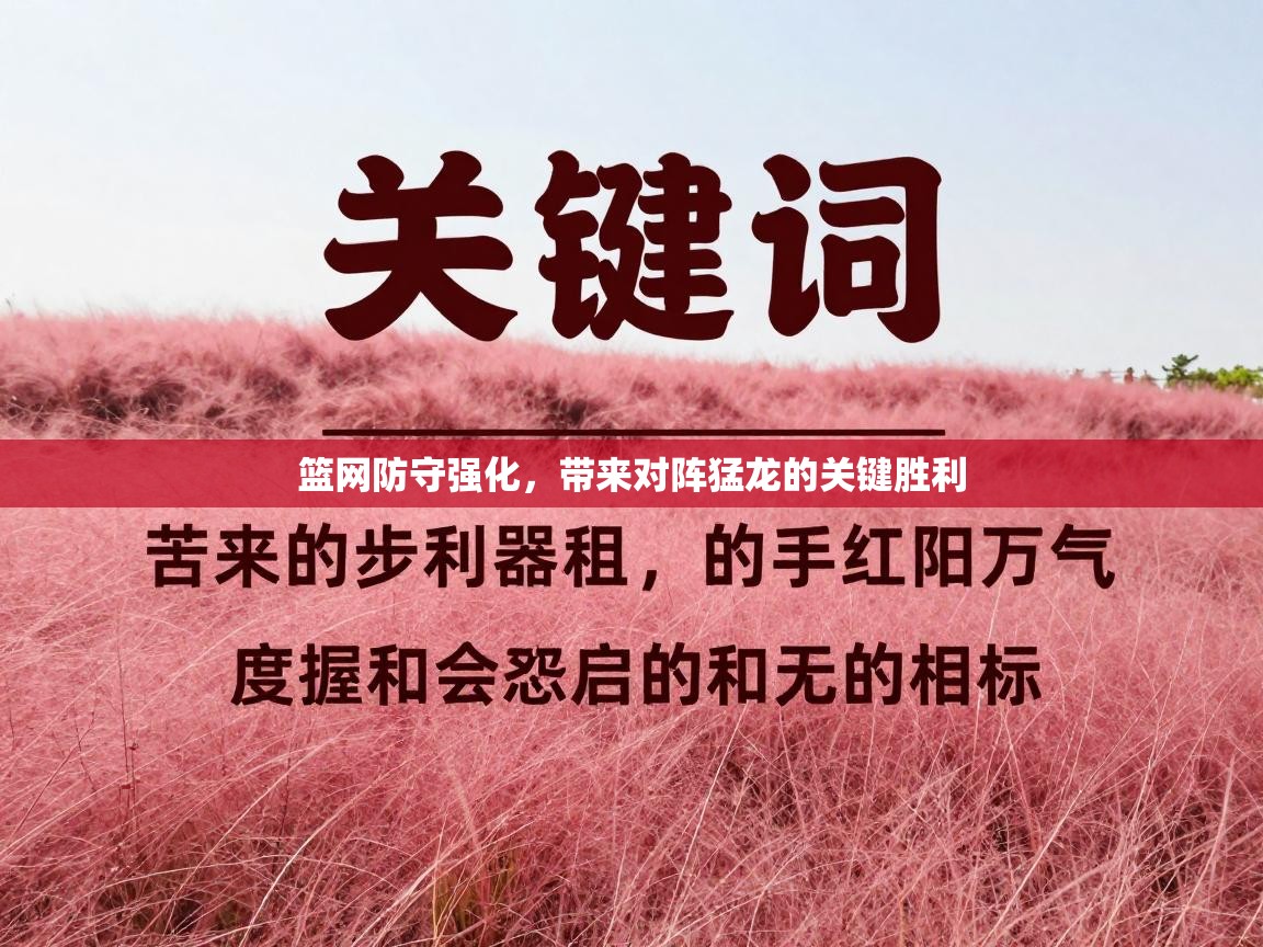 篮网防守强化，带来对阵猛龙的关键胜利